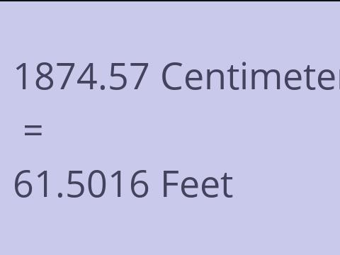 1874.57 CM TO FEET