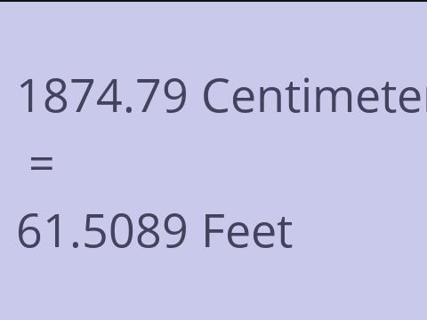 1874.79 CM TO FEET