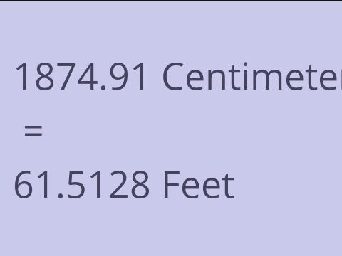 1874.91 CM TO FEET