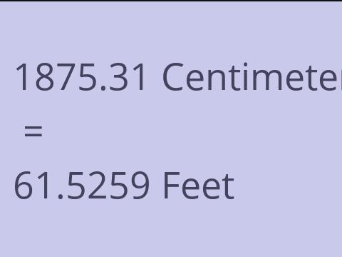 1875.31 CM TO FEET