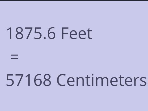 1875.6 FEET TO CM