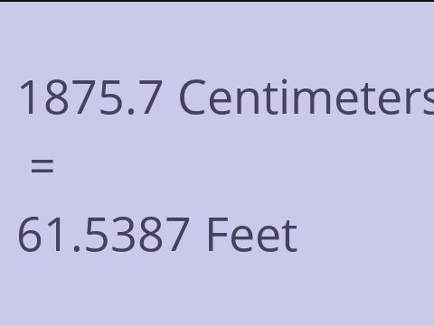 1875.7 CM TO FEET