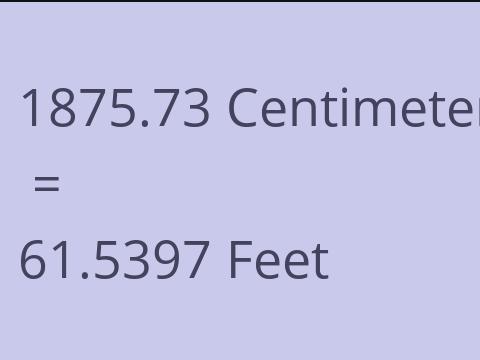 1875.73 CM TO FEET