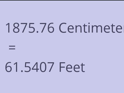 1875.76 CM TO FEET