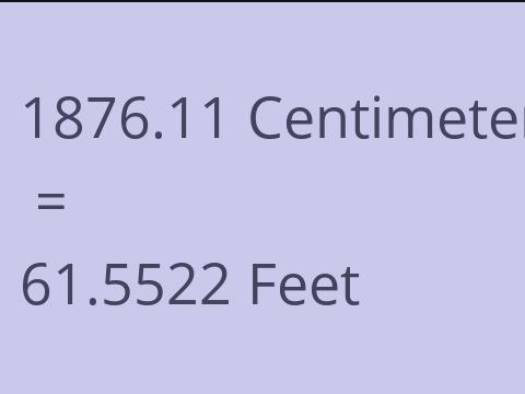 1876.11 CM TO FEET