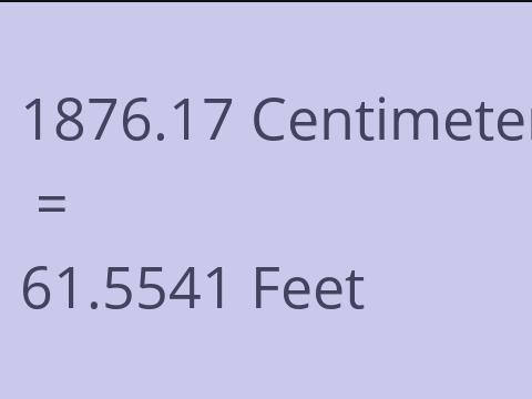 1876.17 CM TO FEET