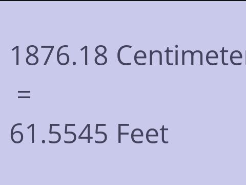 1876.18 CM TO FEET
