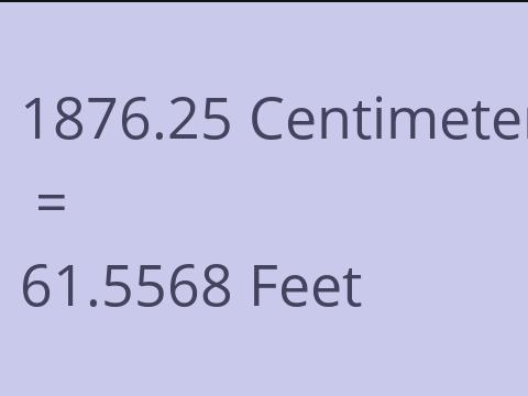 1876.25 CM TO FEET