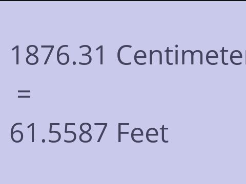 1876.31 CM TO FEET