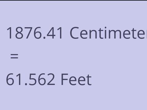 1876.41 CM TO FEET