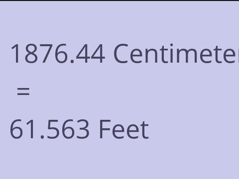 1876.44 CM TO FEET