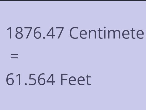 1876.47 CM TO FEET