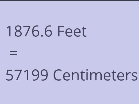 1876.6 FEET TO CM