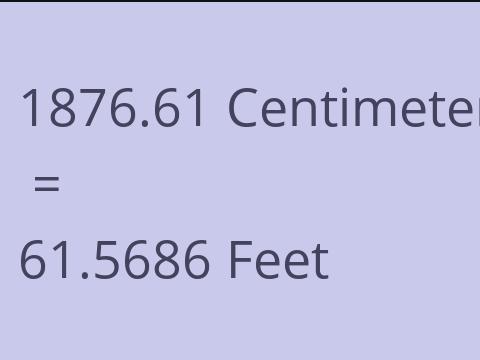 1876.61 CM TO FEET