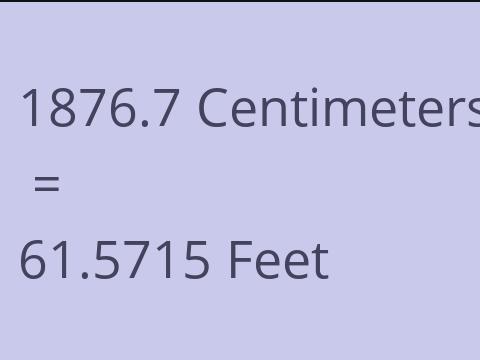 1876.7 CM TO FEET