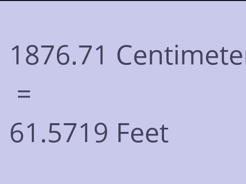 1876.71 CM TO FEET