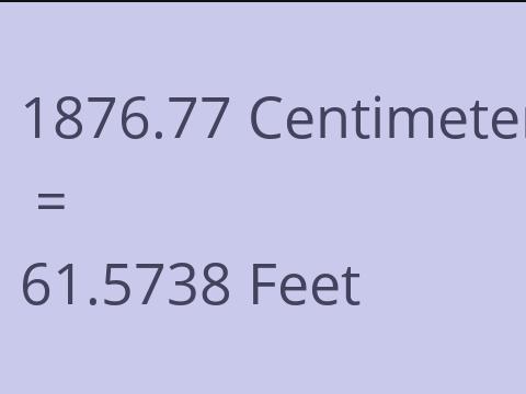 1876.77 CM TO FEET