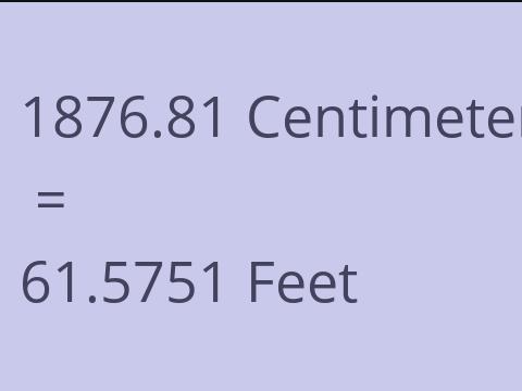 1876.81 CM TO FEET