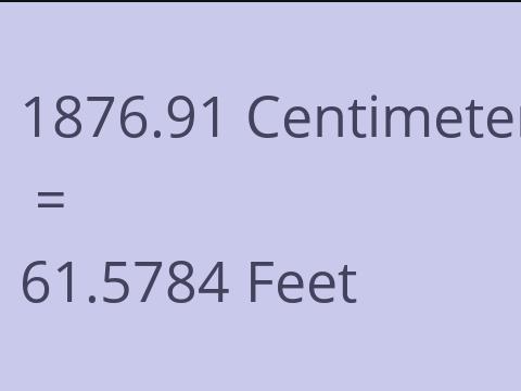 1876.91 CM TO FEET