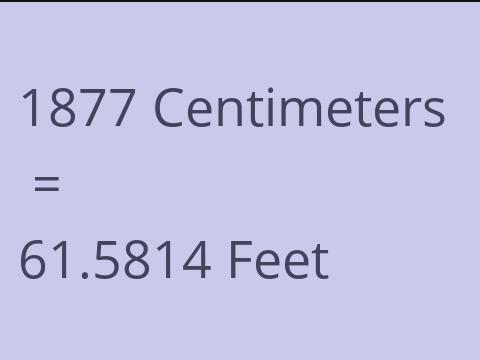 1877 CM TO FEET