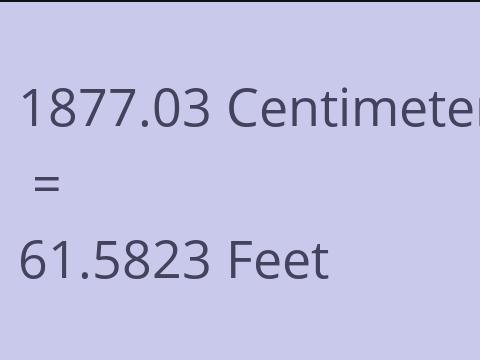 1877.03 CM TO FEET