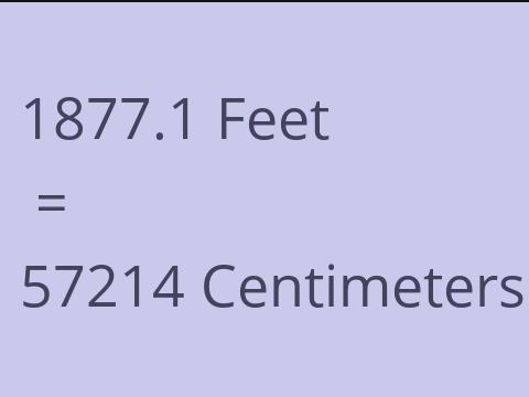 1877.1 FEET TO CM