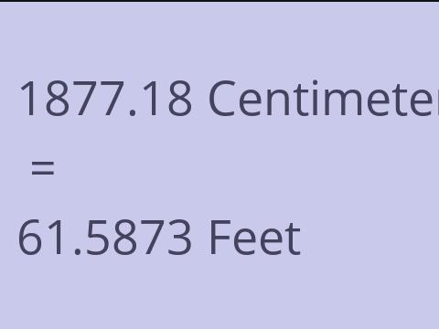 1877.18 CM TO FEET