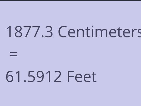 1877.3 CM TO FEET