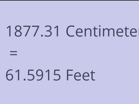 1877.31 CM TO FEET