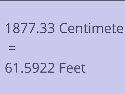 1877.33 CM TO FEET