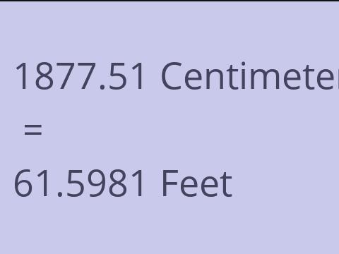 1877.51 CM TO FEET