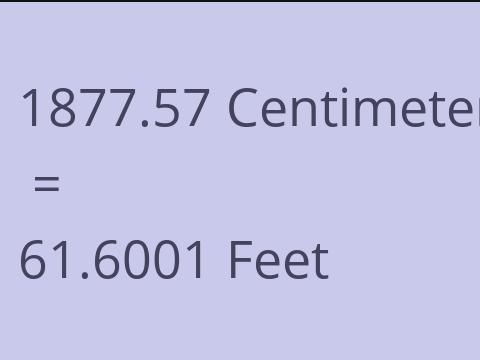 1877.57 CM TO FEET