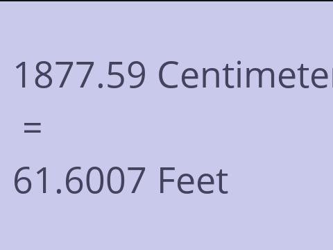 1877.59 CM TO FEET