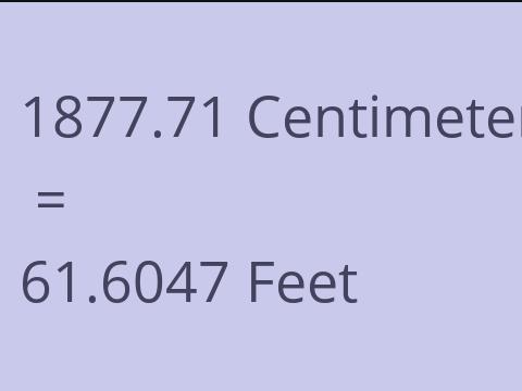 1877.71 CM TO FEET