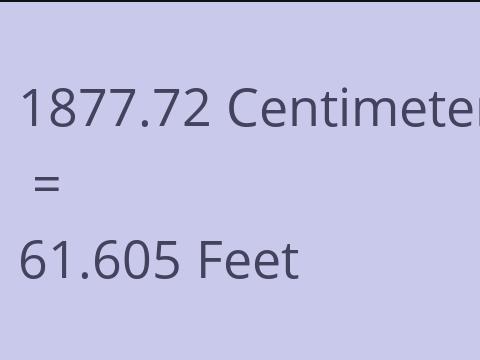 1877.72 CM TO FEET