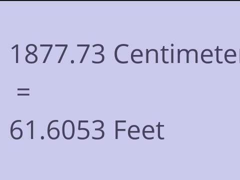 1877.73 CM TO FEET