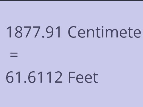 1877.91 CM TO FEET