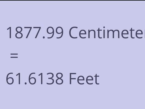 1877.99 CM TO FEET