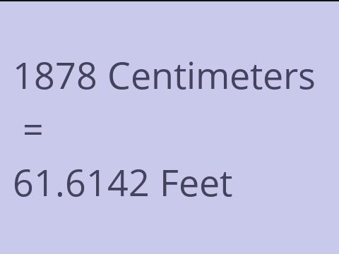 1878 CM TO FEET