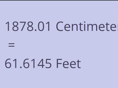 1878.01 CM TO FEET