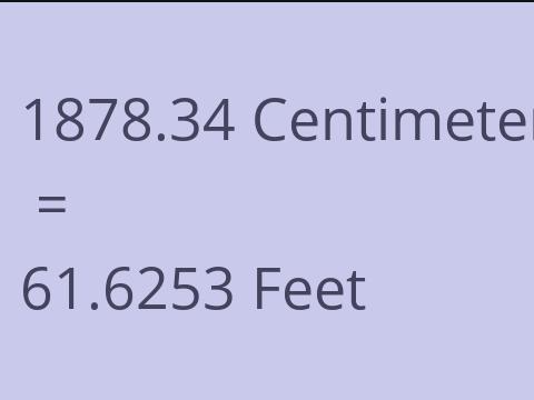 1878.34 CM TO FEET