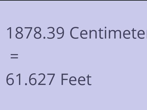 1878.39 CM TO FEET