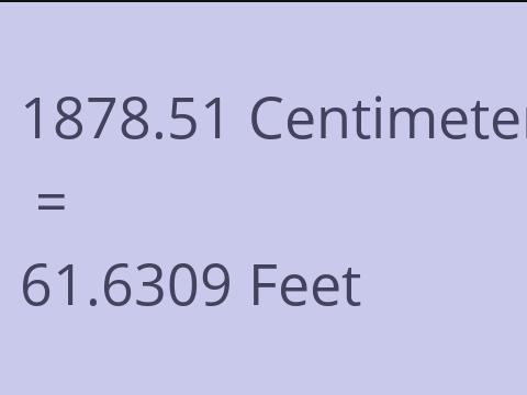 1878.51 CM TO FEET