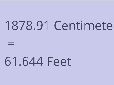 1878.91 CM TO FEET