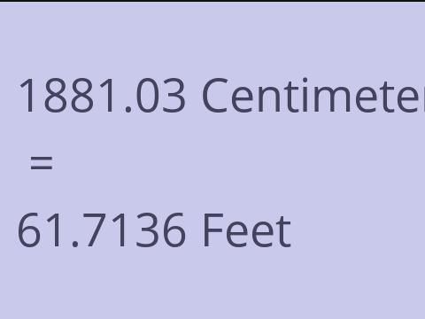 1881.03 CM TO FEET