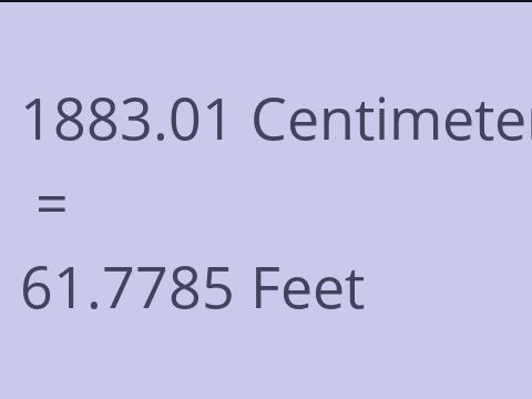 1883.01 CM TO FEET