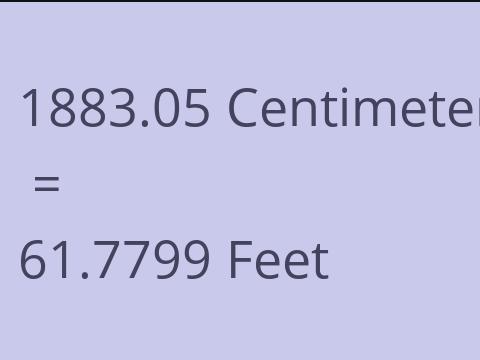 1883.05 CM TO FEET