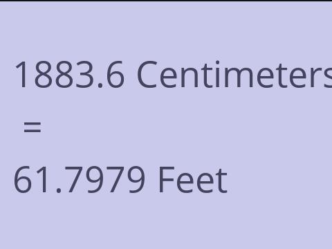 1883.6 CM TO FEET