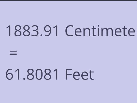 1883.91 CM TO FEET