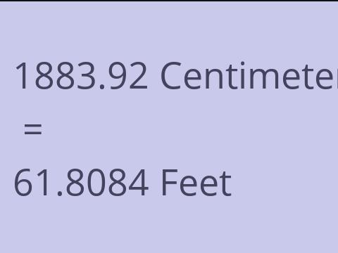 1883.92 CM TO FEET